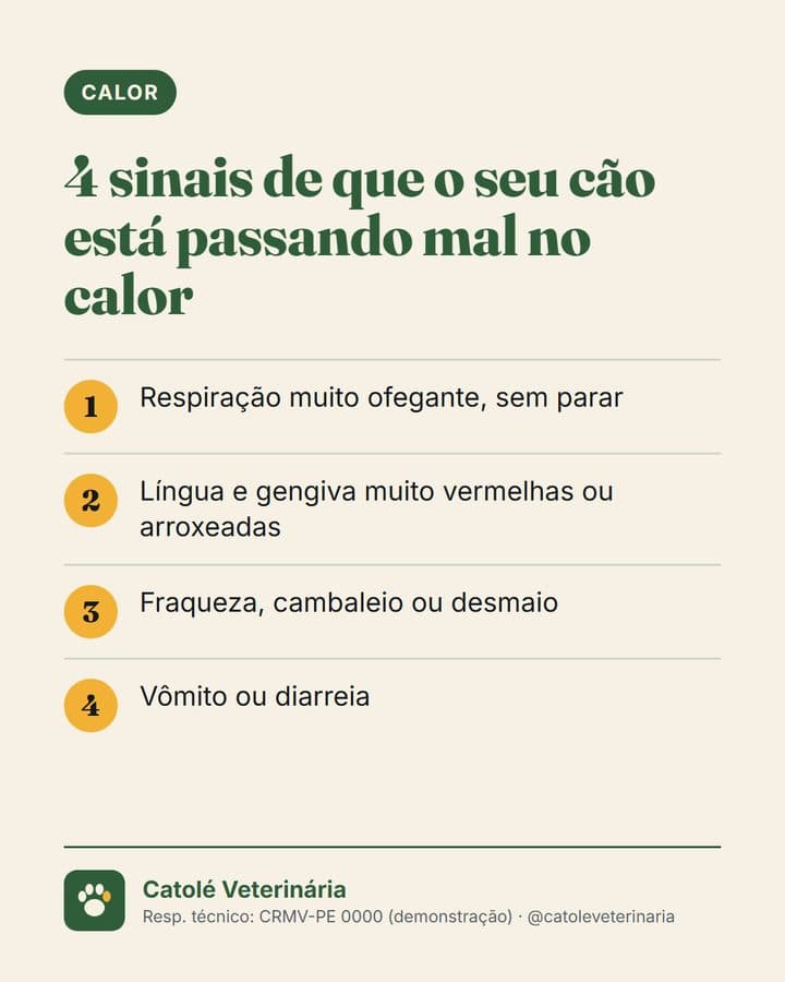 Post: 4 sinais de que o seu cão está passando mal no calor